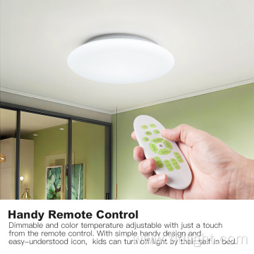 WiFi Smart Flush Mount 24W led Ceiling Light